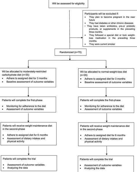 How Prepare Study Flow Chart に対する画像結果