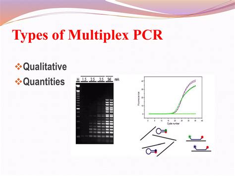 Multiplex PCR に対する画像結果