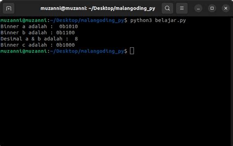 Toradh íomhá ar APA Kegunaan List Pada Python