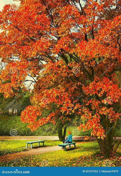 Image result for Tree Log Bench