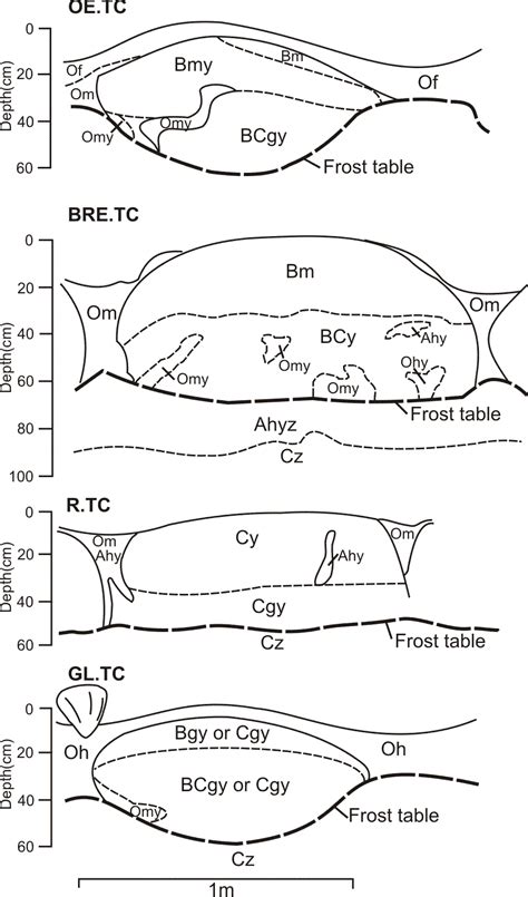 Image result for Crysolic Soil Diagram