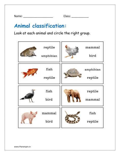 Image result for Classification Worksheet for Grade 2
