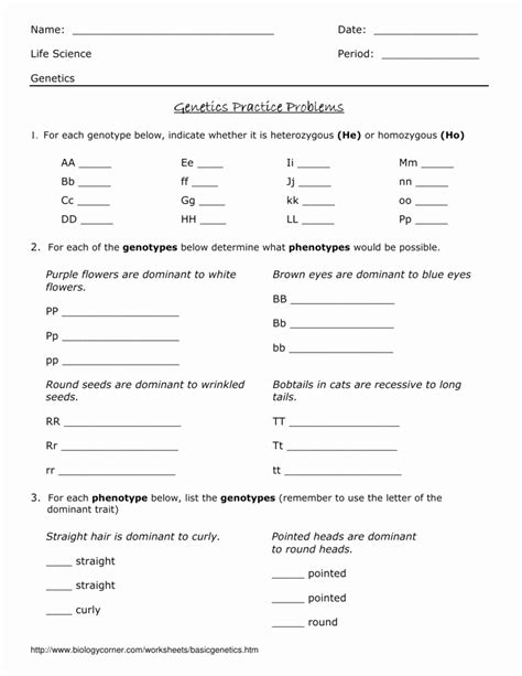 Image result for Genetics Problems Worksheet and Answers