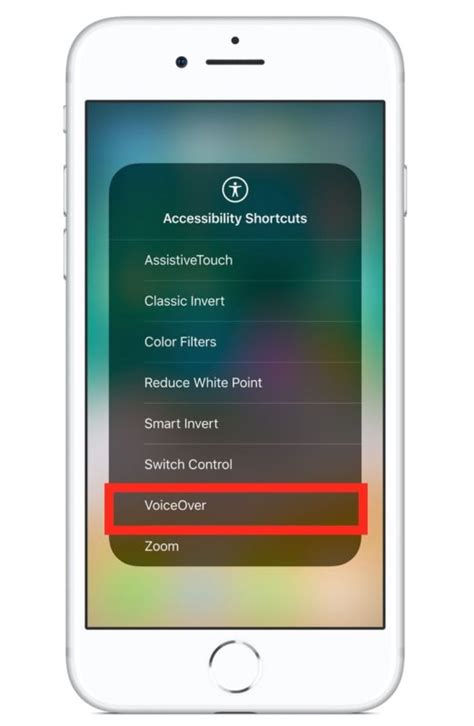 Image result for Voice Over iPhone