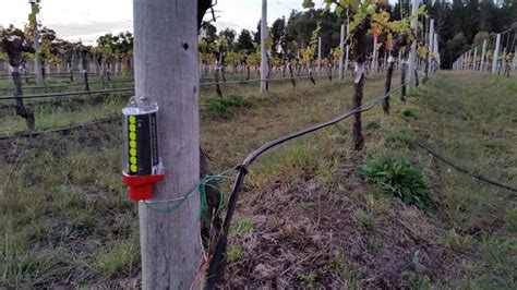 Image result for Edge Impulse Vineyard Irrigation