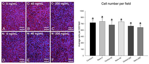 Image result for MBM 7