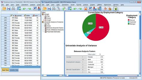 Toradh íomhá ar Free Stats Software