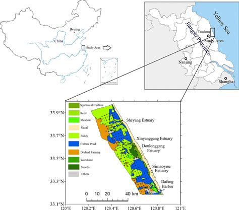 Toradh íomhá ar Sampling Distribution Stock Image