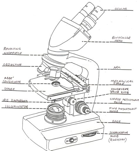 Image result for Microscope Drawing with Parts