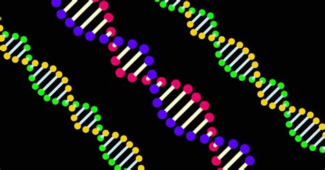 Image result for DNA Rotating