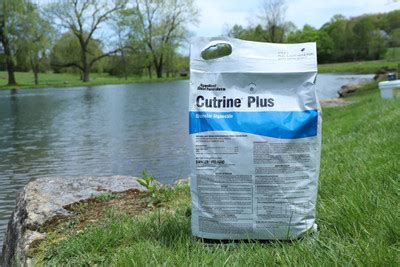 Image result for How to Use Cutrine Plus in Ponds