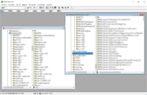 Image result for Set File Manager Have 2 Windows