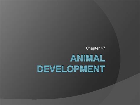 Image result for Animal Development Models