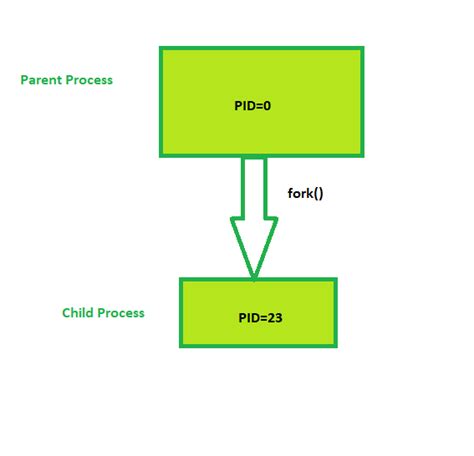 Toradh íomhá ar Fork Command in Unix with Example in Python