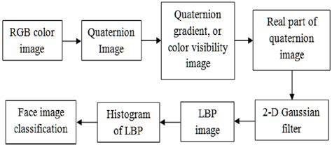 Full Color Image Processing Block Diagram に対する画像結果