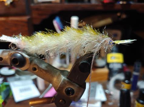 Image result for Micro GameChanger Fly