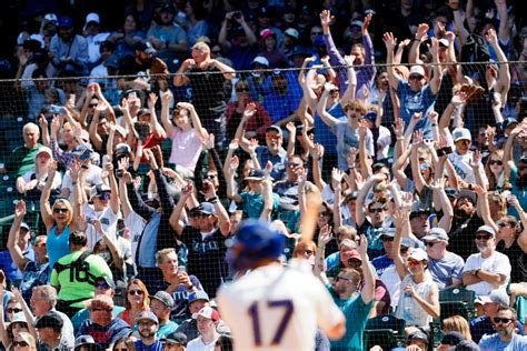 Image result for Mariners Fight