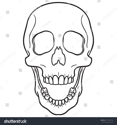 Image result for Alien Skull with Mouth Open Drawing