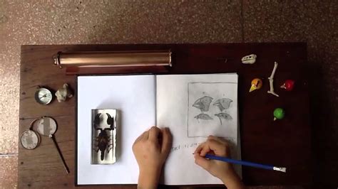 Image result for Charles Darwin Animated