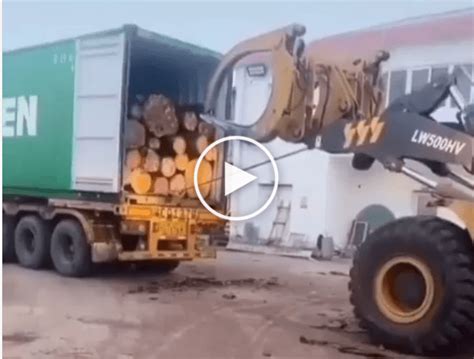 Afbeeldingsresultaten voor Unloading Logs From Container