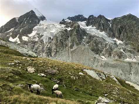 Toradh íomhá ar Foto Challenge