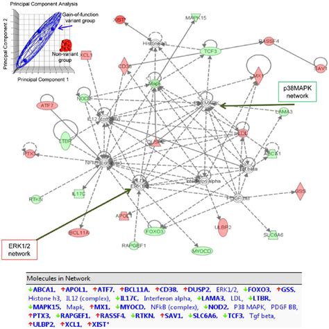Toradh íomhá ar Affymetrix Microarray