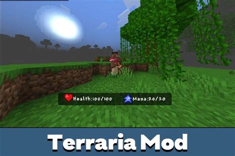 Image result for Minecraft Terraria Mod Download