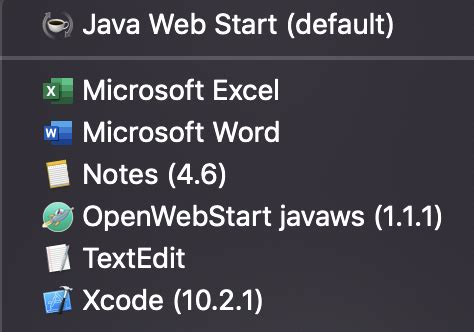 Image result for Java Web Launcher Version 8 Startup