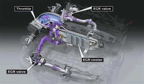 Image result for Erg System Module Connector