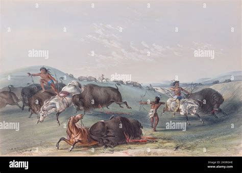 Native Americans Hunting に対する画像結果
