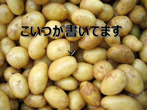 Flowchart Explanation of Language Translation Using Python に対する画像結果