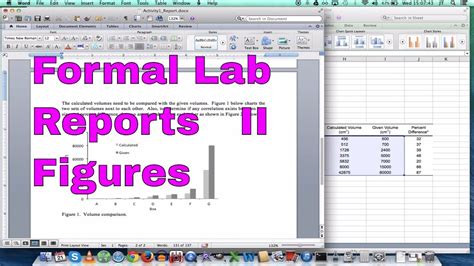 Image result for Proper Lab Figure