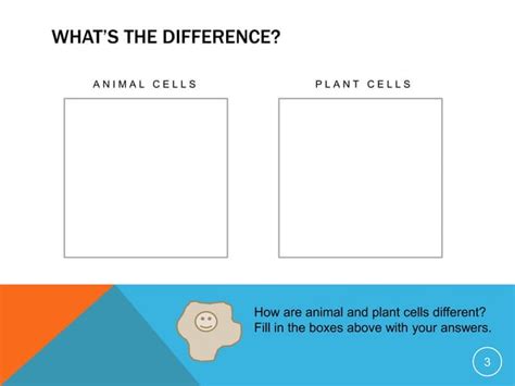 Image result for Structure and Function Biology Examples