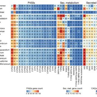 Image result for Protein Coding Gene Number