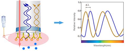 Image result for Antibody Affinity Modification Computer