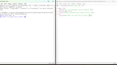 Conditional Test Python に対する画像結果