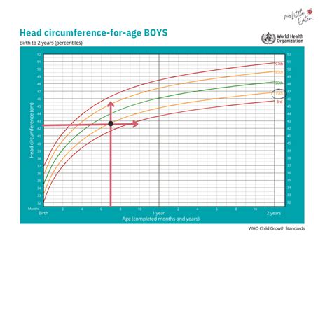 Normal Child Development Milestones に対する画像結果