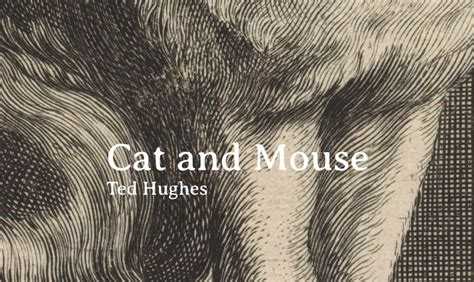 Afbeeldingsresultaten voor U-Form Structure