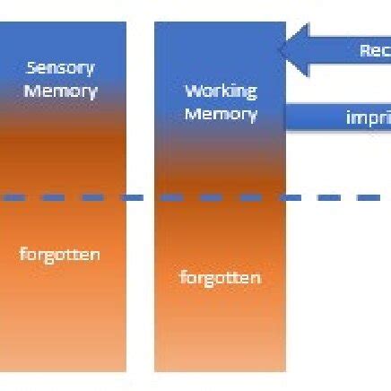 Image result for Working Memory Capacity Cognitive Load Diagram