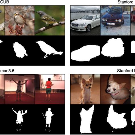 Image result for Unsupervised Learning for Image Segmentation