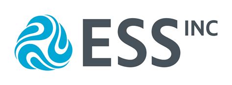 Image result for ESS Statement