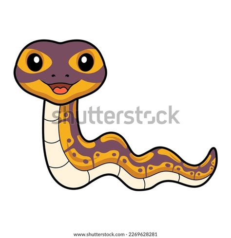 Image result for Bannah Python