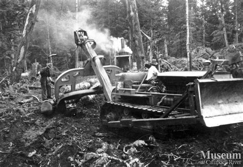 Image result for Cat Logging