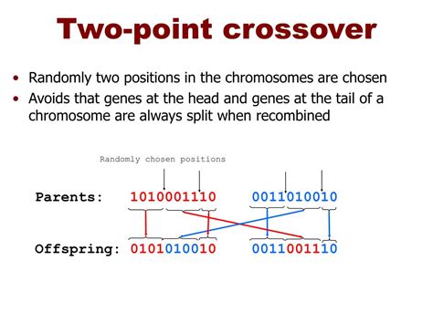 Image result for Algorithm Biology