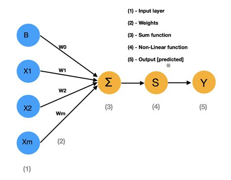 Toradh íomhá ar Neural Network and Deep Learning Images Ofr Project