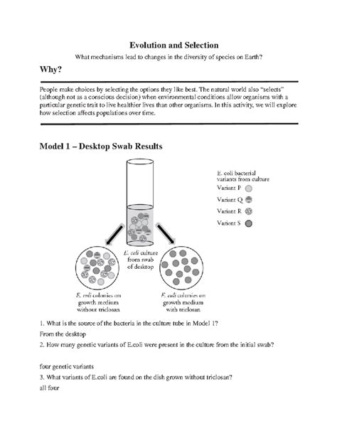 Evolution and Selection POGIL Answer Key に対する画像結果