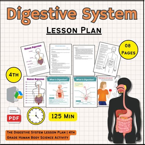 Image result for Human Digestive System Lesson Plan