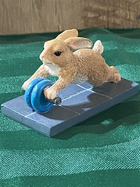 Image result for Using AB Roller