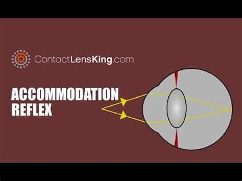 Image result for Accommodation Eye Test