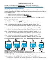 Image result for Cell Homeostasis Virtual Lab Answer Key